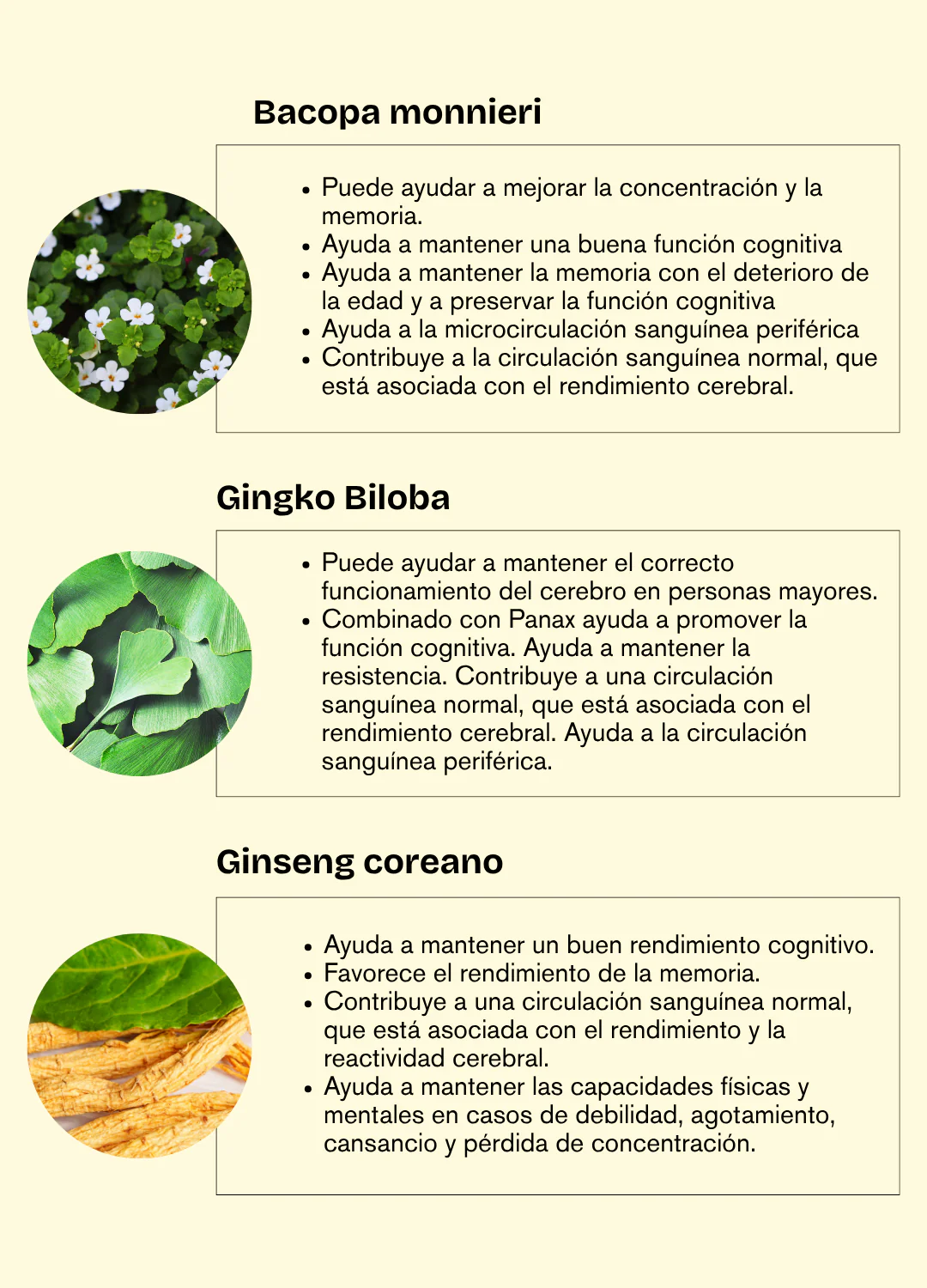 Imagen del producto 6