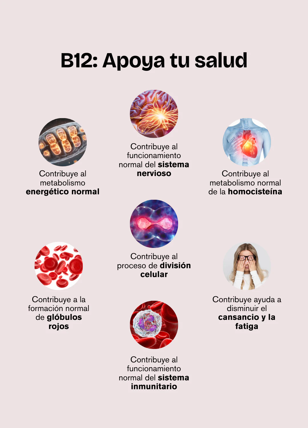 Imagen del producto 7