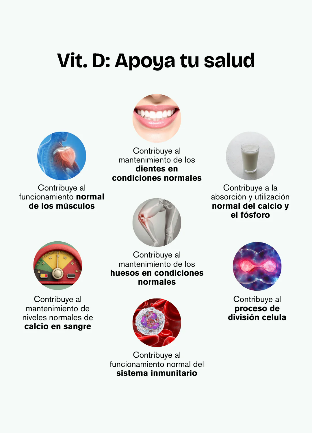 Imagen del producto 6